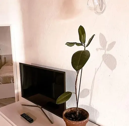 La Petite Croix Appartement